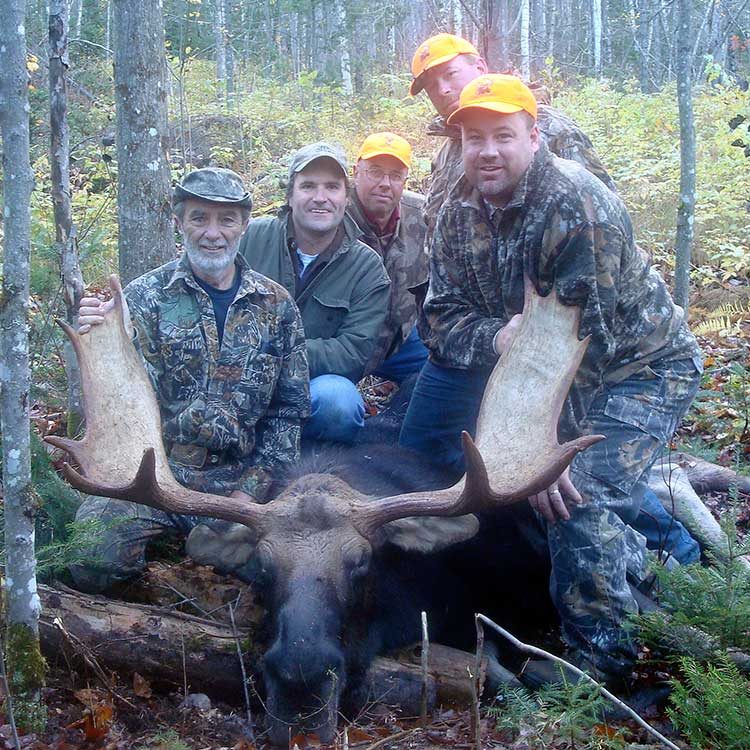 bear hunting trips in maine